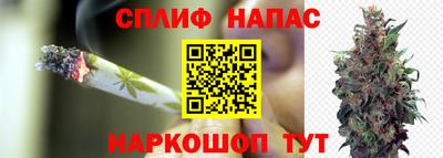 ALPHA PVP Пугачёв