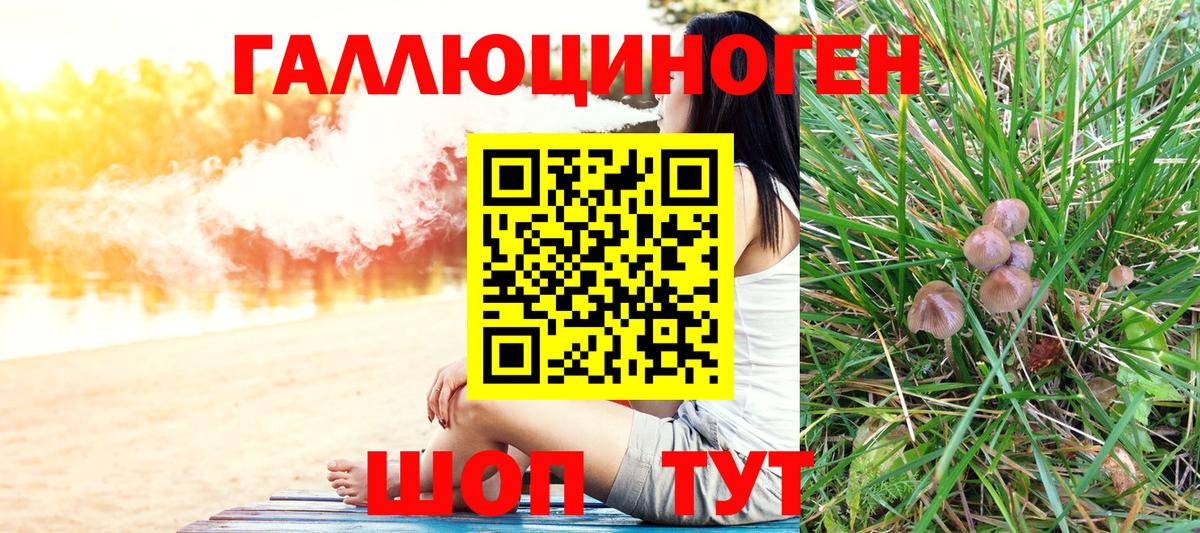 Псилоцибиновые грибы Magic Shrooms Энгельс