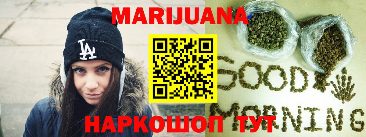 Марихуана конопля Энгельс